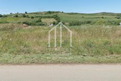 Teren intravilan de vanzare in Sibiu 1270 mp - 2