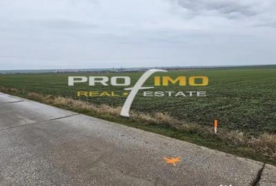 Teren de 4200 mp, în Corbu