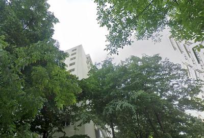 Apartament cu 3 camere decomandat în Doamna Ghica - 2