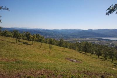 Teren livadă cu panoramă superbă Dealul Malului pentru casă sau cabană - 33