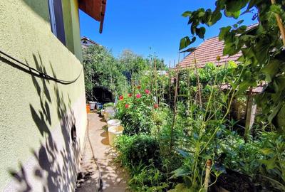 Casă individuală cu 3 camere cu Canalizare în Dâmbul Rotund - 18