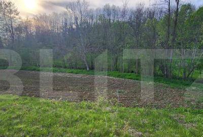 Teren 6650 mp, cu casa nefinalizata de 111 mp, in Nisipoasa - 14