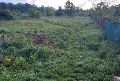 Spațiu comercial, în Bârnova - 4