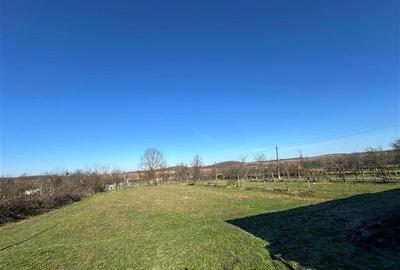 Casă individuală cu 6 camere cu Teren 1727 Mp în Sud-Est - 23