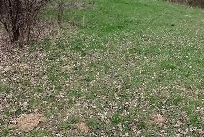 Teren de 6800 mp, în Moisei - 2