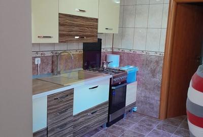 Movilita  (IL) - de vanzare casa 5 cam p+1 - 21