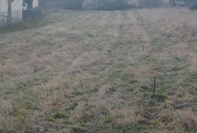 Spațiu comercial, în Sălicea - 3