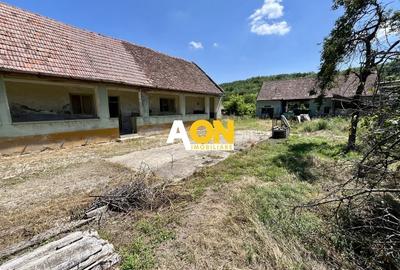 Teren Imprejmuit, 3514mp, Asfalt, Ciugud - 7