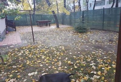 Apartament cu 2 camere semidecomandat în Central - 4