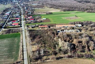 Teren Construcții intravilan de 70291 mp, în Micșunești-Moară - 2