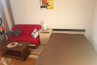 Garsonieră semidecomandată, mobilată în Dristor - 15