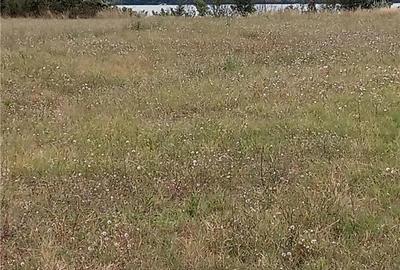 Teren de 2200 mp, în Moldova Veche - 4