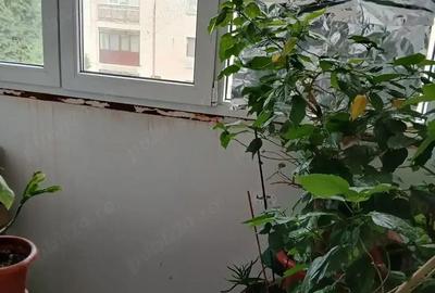 Apartament cu 2 camere semidecomandat în 1 Mai - 2