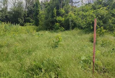 Teren Construcții intravilan de 1000 mp, în Lacul Tei - 3