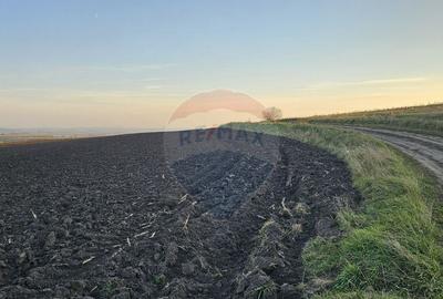 Teren extravilan 30077mp Stroiesti / Soseaua DN17, Suceava - 9