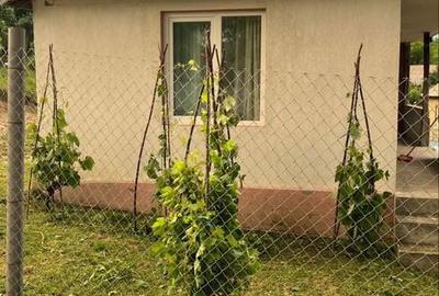 Casă cu 2 camere în Răcoasa - 3