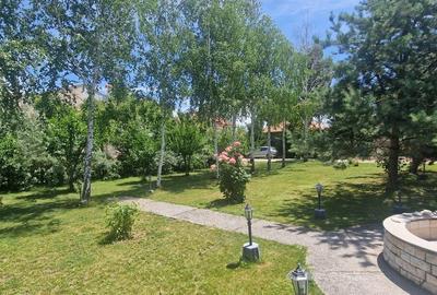 Balotesti lac, soseaua Unirii - 4