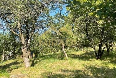 Casă cu 3 camere cu Canalizare în Jegălia - 20