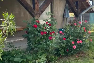 Vand casa cu gradina la 25 km de Oradea - 4