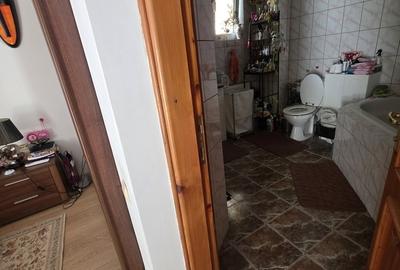 Snagov, Izvorani Vila, la lac - 7