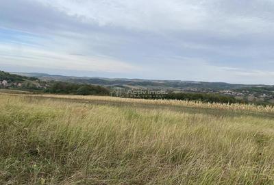 Teren extravilan de vanzare in Tileagd - 3166 mp cu panorama superba - 9