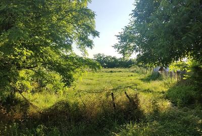 Teren de 1100 mp, în Bazoș - 2