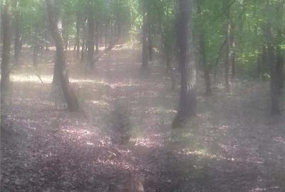 Teren în Central - 1