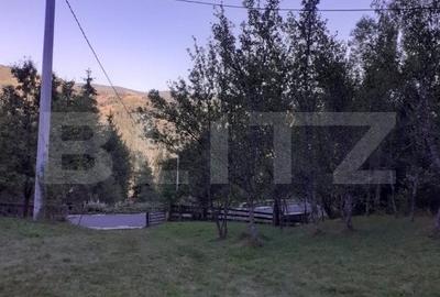 Casa la munte, cu teren 13383 mp, zona Horea - Apuseni - 6