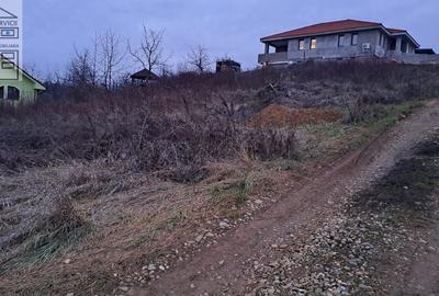 Teren intravilan Oradea - 6
