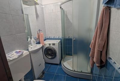 Drumul Taberei, metrou Favorit Afi Cotroceni, garsoniera - 3