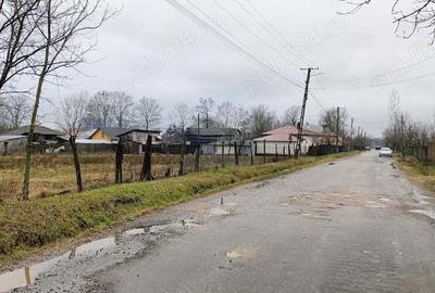 Vand Casa Com Recea Jud Arges - 9