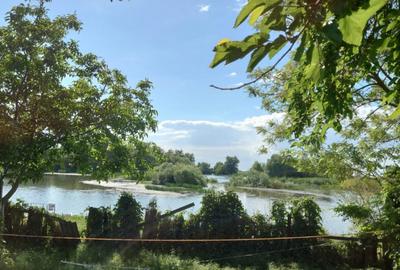 MILA 23 - CASA BATRANEASCA CU DESCHIDERE LA DUNARE 18 ML , T - 2