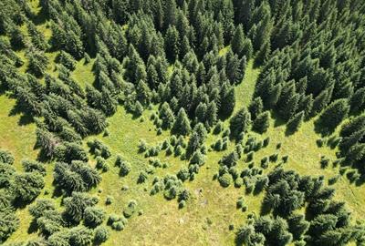 De vanzare teren Extravilan(faneata)-Belis,Cluj - 2