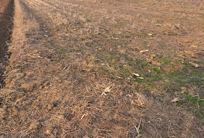 Spațiu comercial, în Marginea - 4