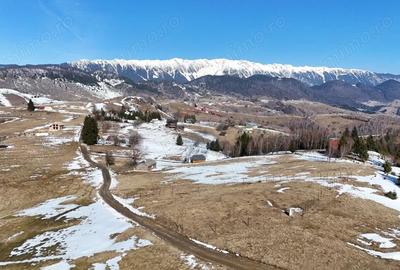 Teren de 1924 mp, în Șirnea - 1