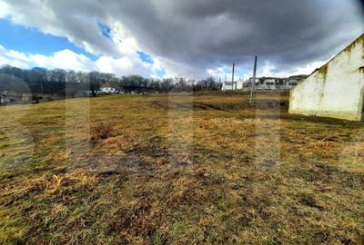 Teren de 44747 mp, în Cojocna - 6