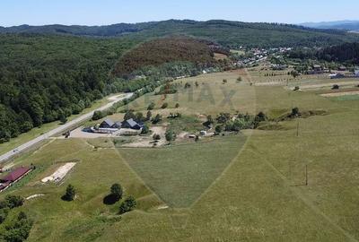 Teren 5,561mp Paltinoasa / Strada principala - 15