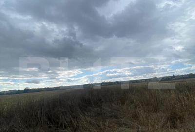 Teren extravilan, 2500 mp, zona Lucieni - 1