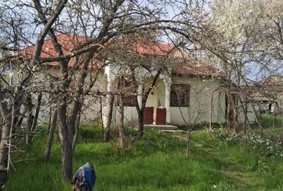 Teren Construcții intravilan de 2500 mp, în Dealu Bradului - 4