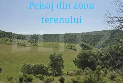 Teren de 1100 mp, în Sălicea - 5