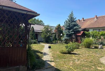 Vand casa in sag cu  gradina mare 275000 euro - 12