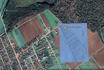 Vindem parcele de 700 mp in Marghita,Bihor Vindem parcele de 700 mp in Marghita,Bihor - 4