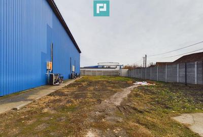 Depozit frigo de inchiriat in Sacalaz - 3