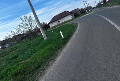 Casă în Grăniceri - 5