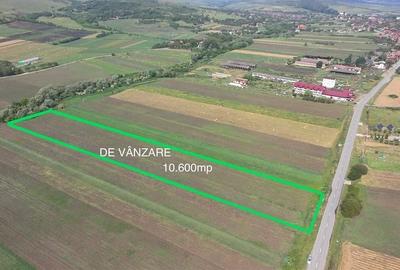 Teren de 10600 mp, în Borșa - 2