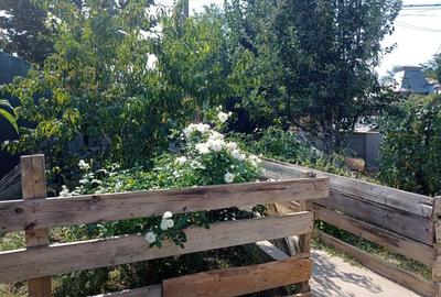 Casă cu 3 camere în Bolintin-Vale - 5
