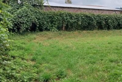 Casă cu 6 camere în Central