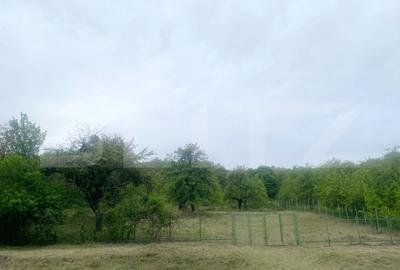 Casa de vanzare, cu 4 camere, 170mp, zona Garbau (Cornesti) - 16