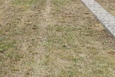 Casă cu 1 camere cu Teren 1000 Mp în Băbana - 9