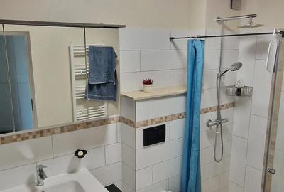 Garsonieră nedecomandată în Dacia - 9